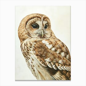 Tawny Owl Marker Drawing 2 Canvas Print