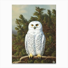 Snowy Owl Haeckel Style Vintage Illustration Bird Canvas Print