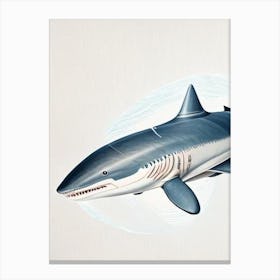 Porbeagle Shark 3 Vintage Canvas Print