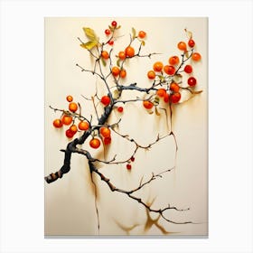 Apricots 1 Canvas Print