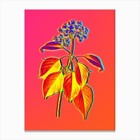 Neon Pagoda Dogwood Botanical in Hot Pink and Electric Blue n.0310 Canvas Print