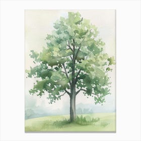 Linden Tree Atmospheric Watercolour Painting 6 Canvas Print