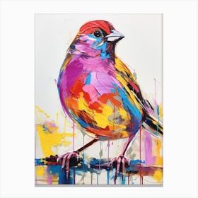 Colourful Bird Painting Sparrow 2 Canvas Print