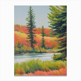 Sitka Spruce Tree Watercolour Canvas Print