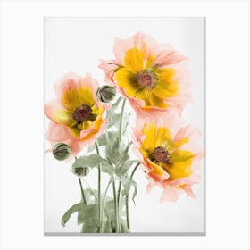 Sunflowers Flowers Acrylic Painting In Pastel Colours 6 Canvas Print