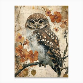 Northern Pygmy Owl Japanese Painting 1 Canvas Print
