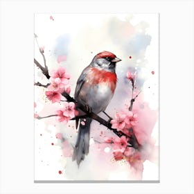 Sparrow bird Canvas Print