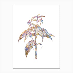 Stained Glass Commelina Zanonia Mosaic Botanical Illustration on White Canvas Print