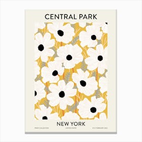 Central Park New York Canvas Print