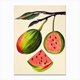 Watermelon Watercolour Fruit Painting Fruit Canvas Print