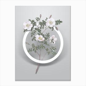 Vintage White Candolle's Rose Minimalist Flower Geometric Circle on Soft Gray n.0137 Canvas Print