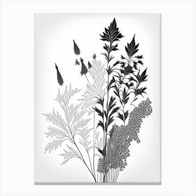 Black Cohosh Herb William Morris Inspired Line Drawing Canvas Print