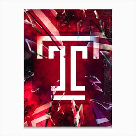 Temple Owls 1 Canvas Print