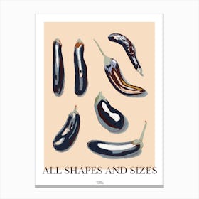 All Shapes And Sizes Canvas Print
