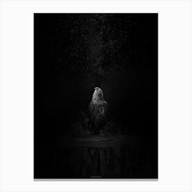 Eagle In The Night Canvas Print