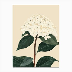 Hydrangea 8 Canvas Print