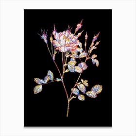Stained Glass Anemone Flowered Sweetbriar Rose Mosaic Botanical Illustration on Black n.0020 Canvas Print