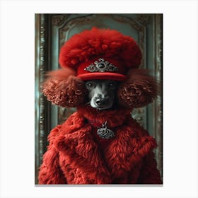 Poodle In Red Coat Canvas Print