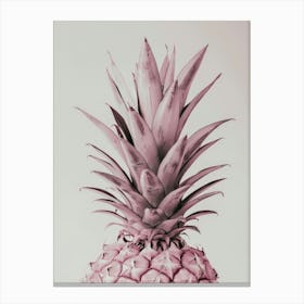 Pink Pineapple 5 Canvas Print