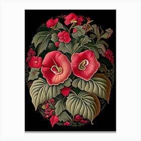 Impatiens 2 Floral Botanical Vintage Poster Flower Canvas Print