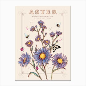 September Birth Flower Aster On Cream Canvas Print