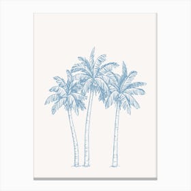 Palm Trees Canvas Print