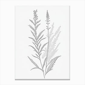 Vervain Herb William Morris Inspired Line Drawing Canvas Print