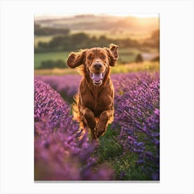 Dog Running In Lavender Field. Generated AI. Art Print Canvas Print