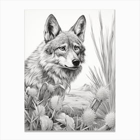 Gray Wolf Vintage Drawing 1 Canvas Print
