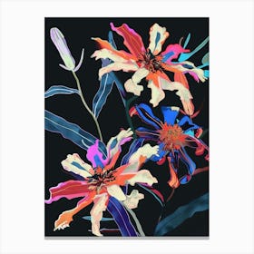 Neon Flowers On Black Cineraria 5 Canvas Print