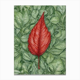 Red Leaf 1 Canvas Print