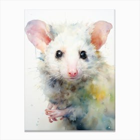 Light Watercolor Painting Of A Urban Possum 1 Canvas Print