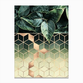 Leaves And Cubes 2 Canvas Print