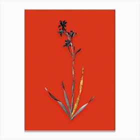 Vintage Bugle Lily Black and White Gold Leaf Floral Art on Tomato Red n.1040 Canvas Print