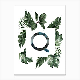 Botanical Alphabet Q Canvas Print