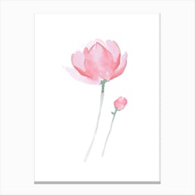 Peony Canvas Print