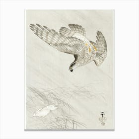 Hawk Hunting A Hare (1900 1910), Ohara Koson Canvas Print