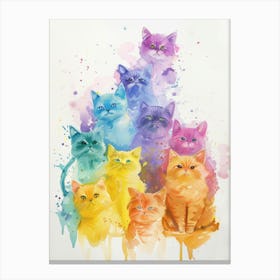 Rainbow Cats 2 Canvas Print