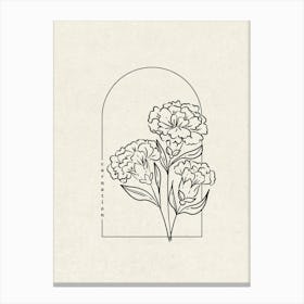 Carnation Flower Canvas Print