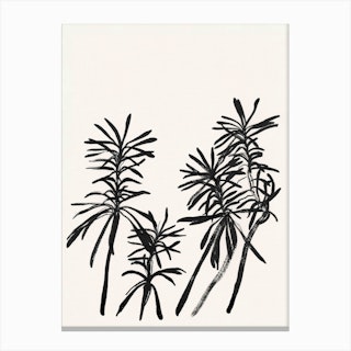 Black Tropical Canvas Print