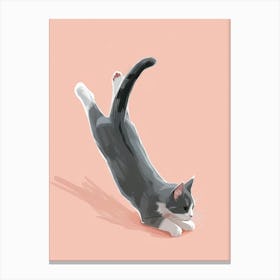 Kitty Cat 16 Canvas Print