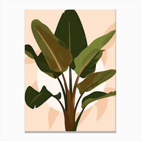 Banana Plant 5 Canvas Print