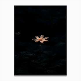 Lotus Flower 38 Canvas Print