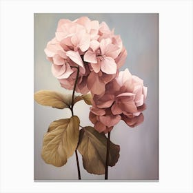 Floral Illustration Hydrangea 3 Canvas Print