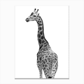 Giraffe Bum Bathroom Print Canvas Print