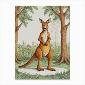 Kangaroo 14 Canvas Print