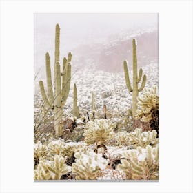 Winter Snowy Desert Canvas Print