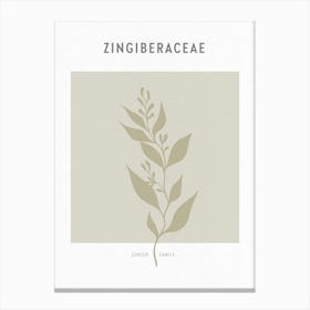 Boho Leaves 2 Zingiberaceae Canvas Print