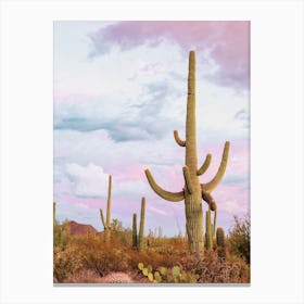 Pastel Saguaro Cactus Sky Canvas Print