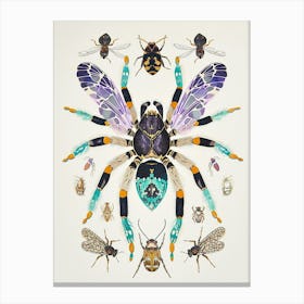 Colourful Insect Illustration Tarantula 9 Canvas Print